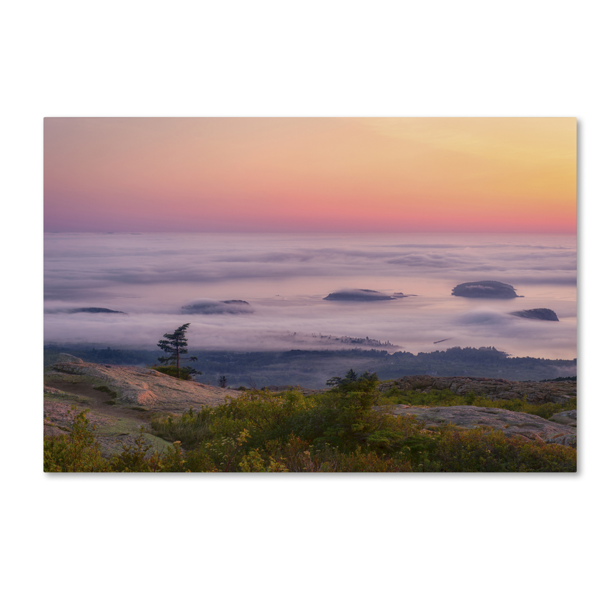 Michael Blanchette Photography 'Islands In The Fog' Canvas Art 16 X 24