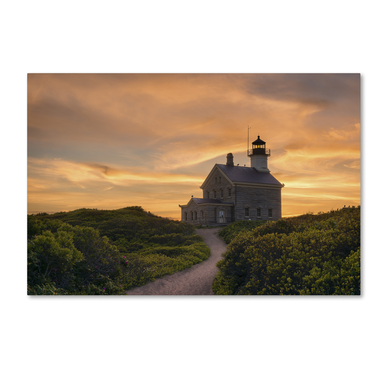 Michael Blanchette Photography 'Keeper On The Hill' Canvas Art 16 X 24