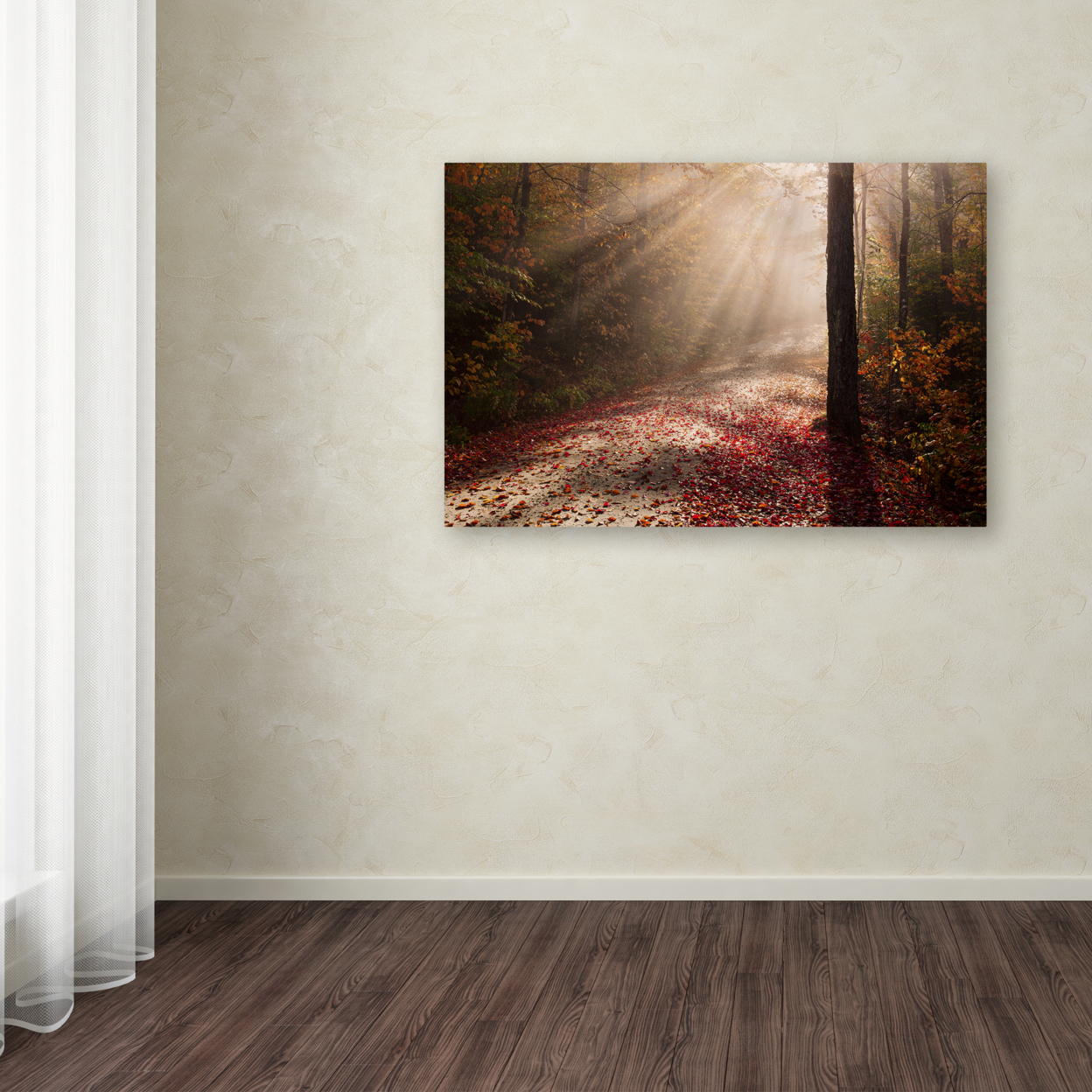 Michael Blanchette Photography 'Light In The Forest' Canvas Art 16 X 24