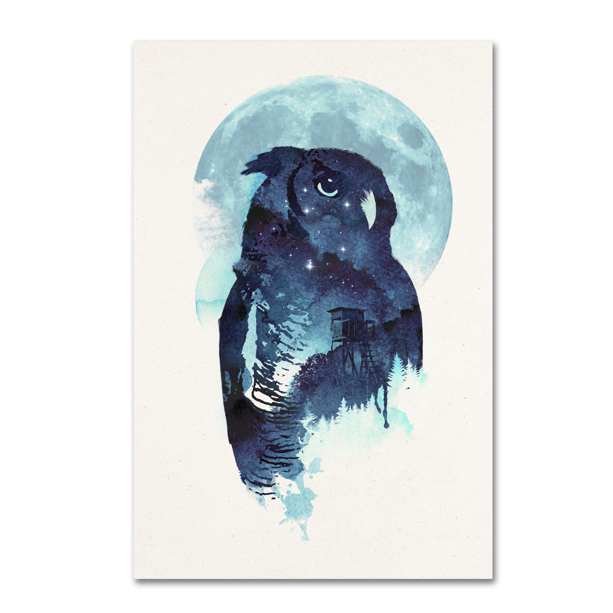 Robert Farkas 'Midnight Owl' Canvas Art 16 X 24