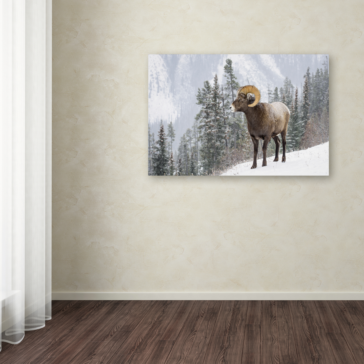 Michael Blanchette Photography 'Bighorn In Snow' Canvas Art 16 X 24