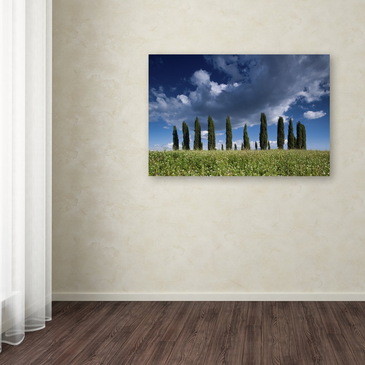 Michael Blanchette Photography 'Cypress Hill Clouds' Canvas Art 16 X 24