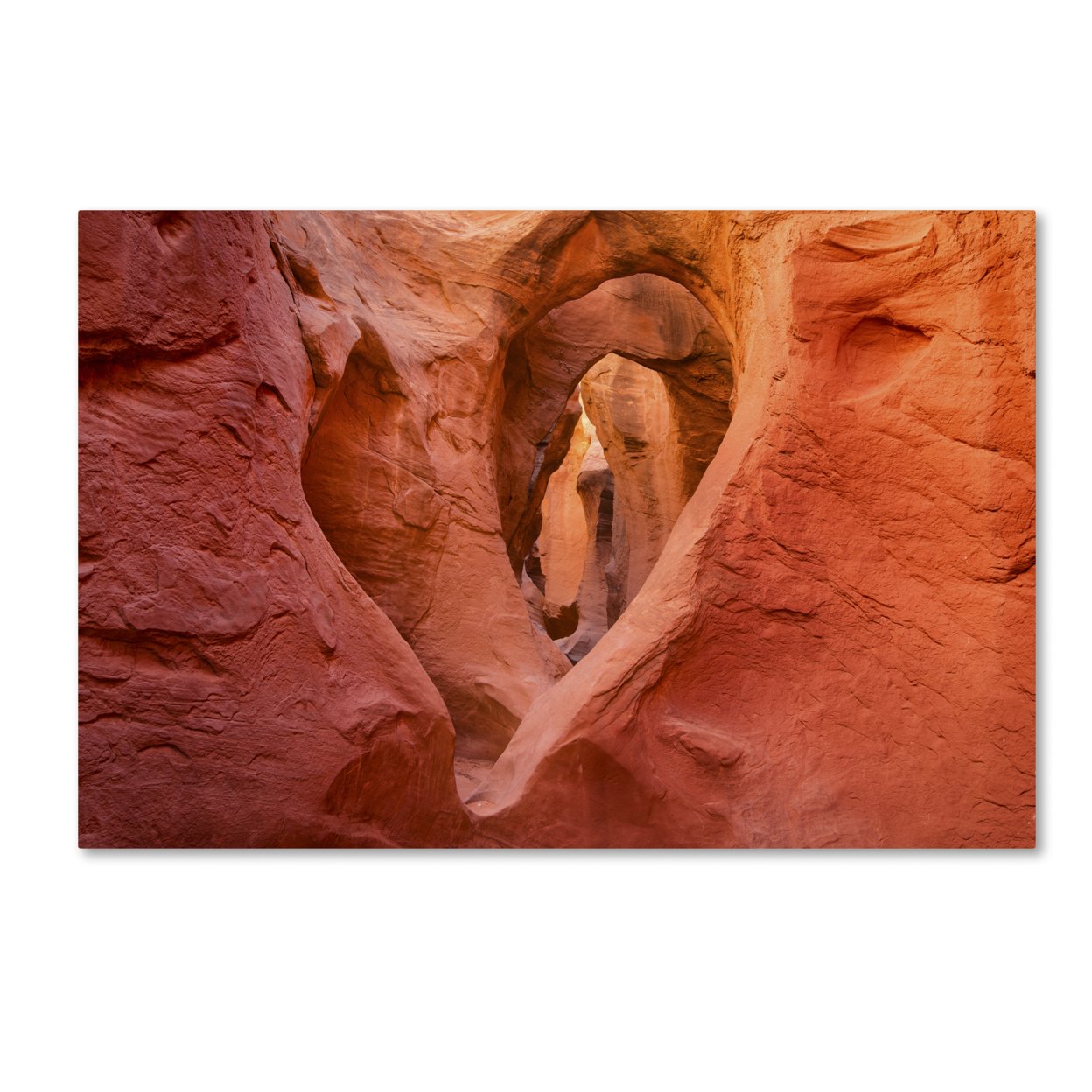 Michael Blanchette Photography 'Heart In Stone' Canvas Art 16 X 24