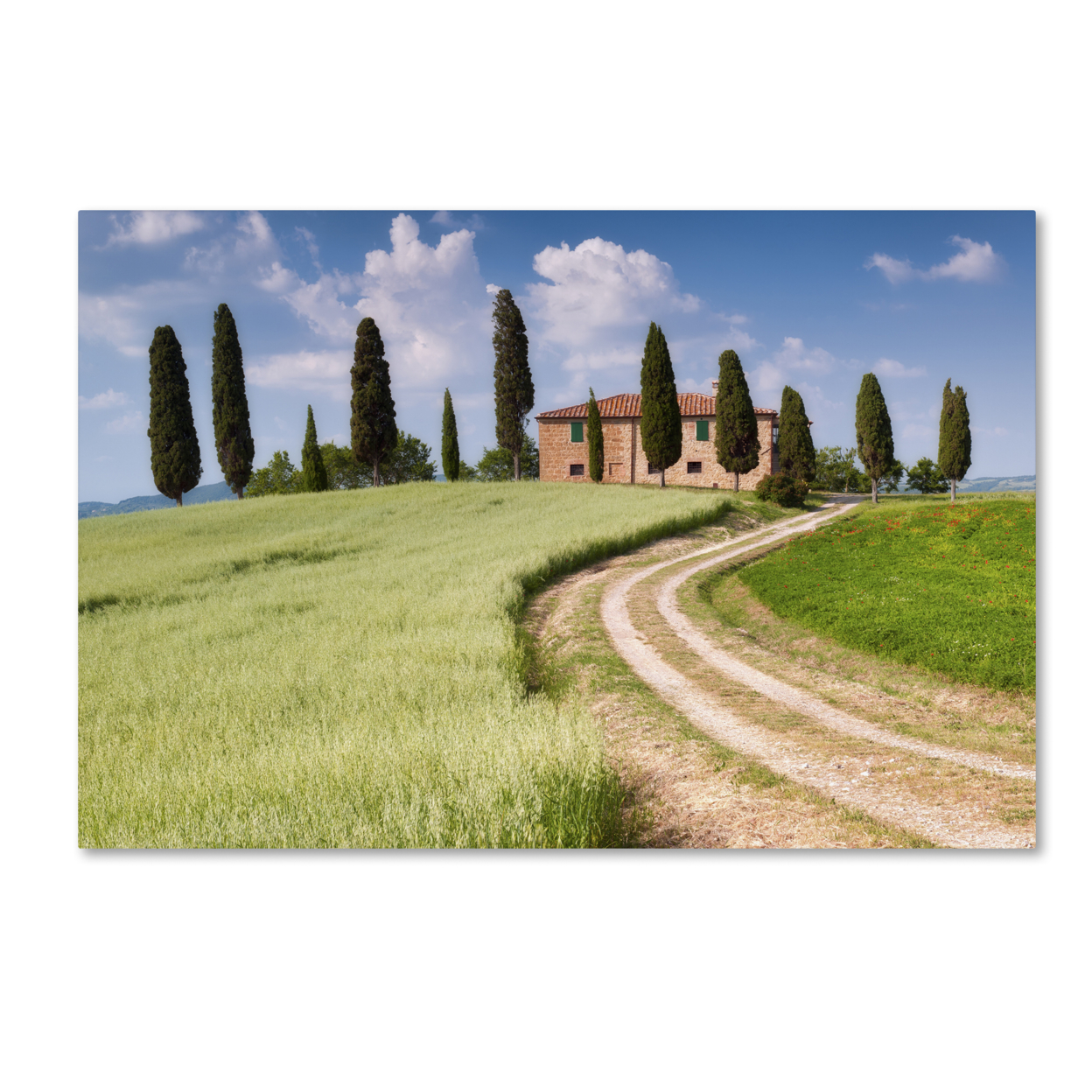Michael Blanchette Photography 'Tuscan Classic' Canvas Art 16 X 24
