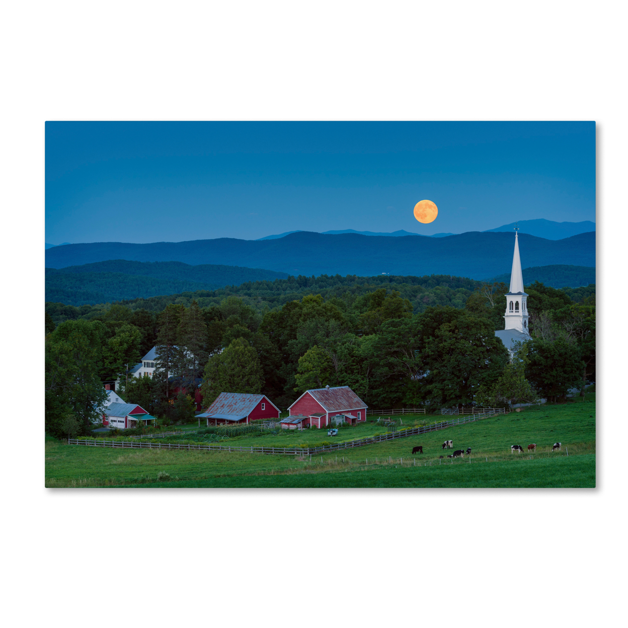 Michael Blanchette Photography 'Cow Under The Moon' Canvas Art 16 X 24