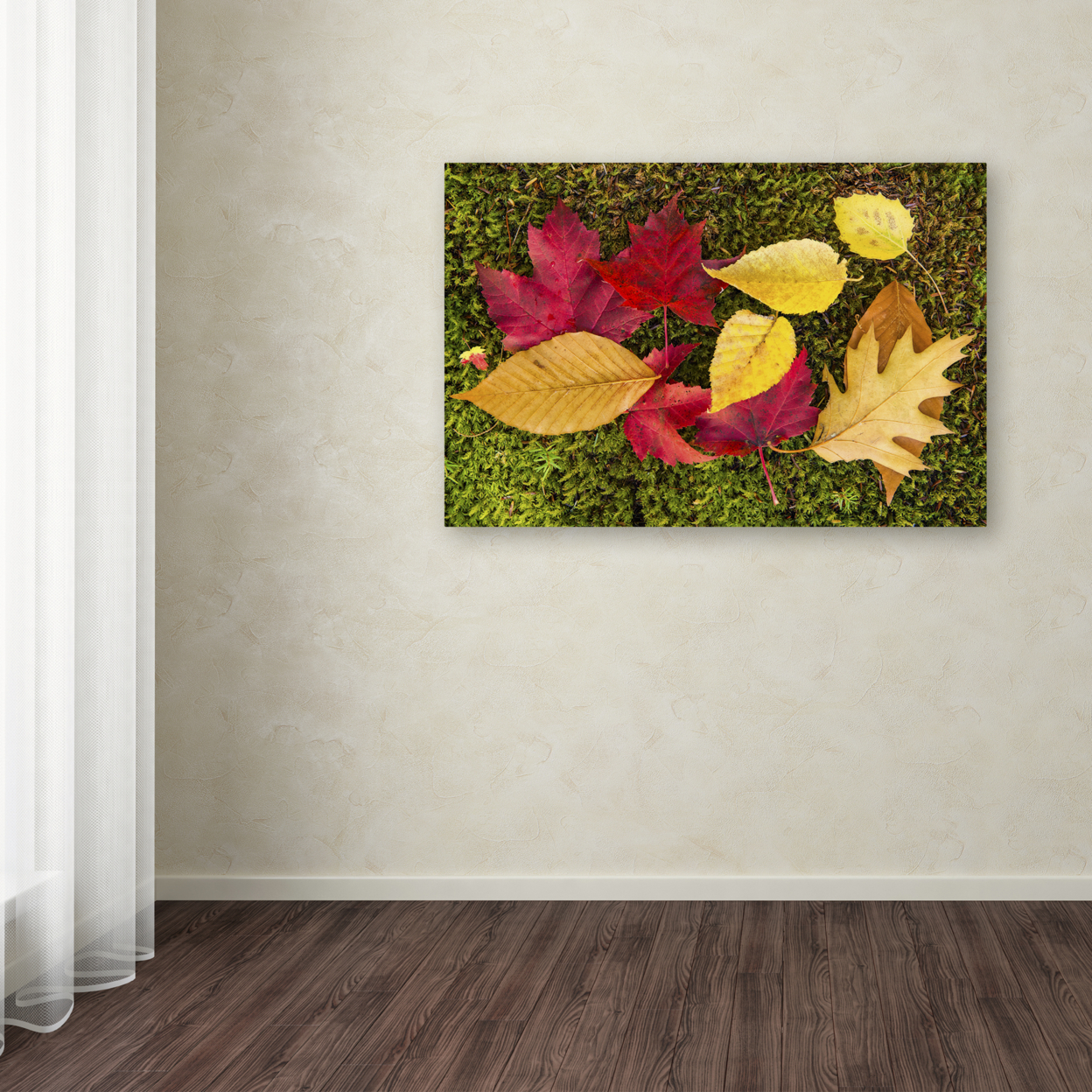 Michael Blanchette Photography 'Leaves On Moss' Canvas Art 16 X 24