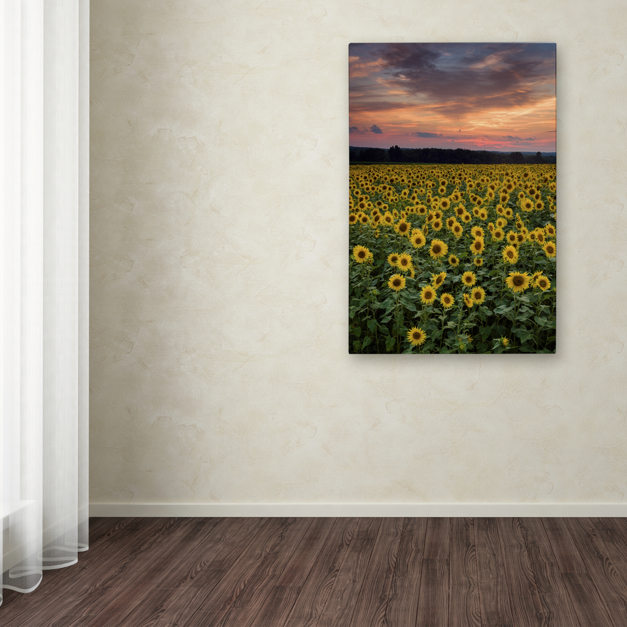 Michael Blanchette Photography 'Sunflowers' Canvas Art 16 X 24