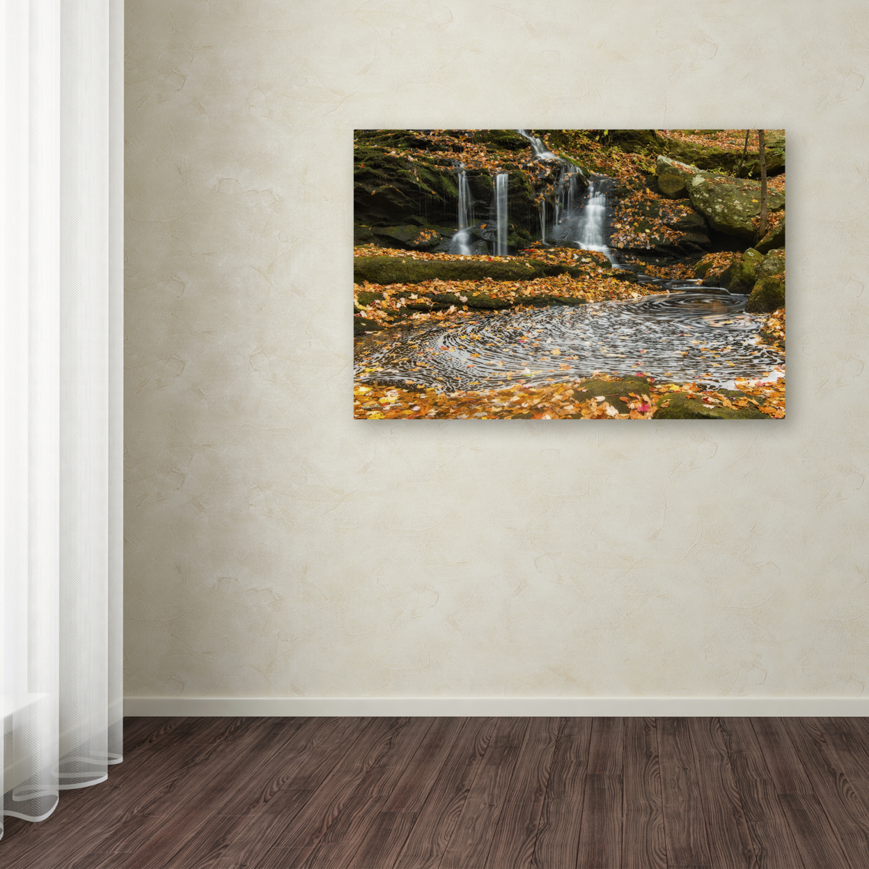 Michael Blanchette Photography 'Circle Of Leaves' Canvas Art 16 X 24