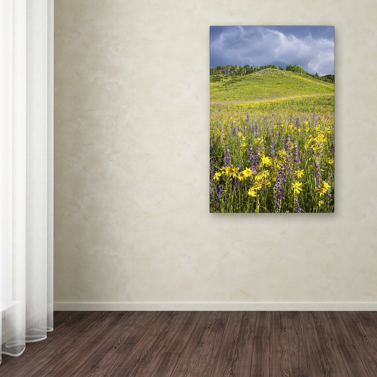 Michael Blanchette Photography 'Hillside Bloom' Canvas Art 16 X 24