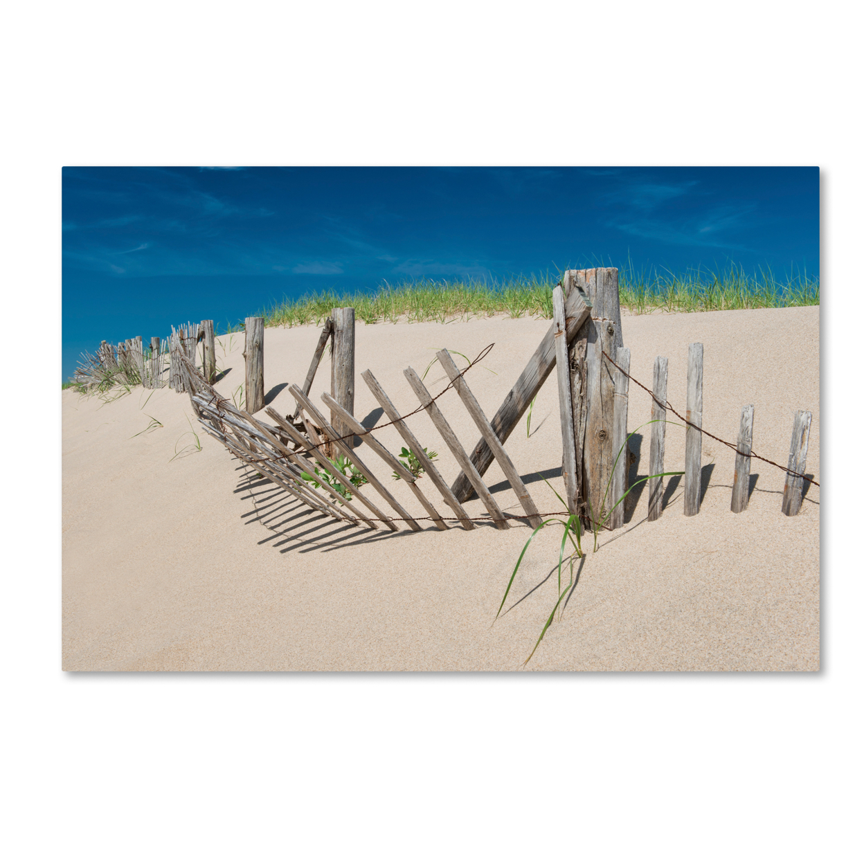 Michael Blanchette Photography 'Worn Beach Fence' Canvas Art 16 X 24