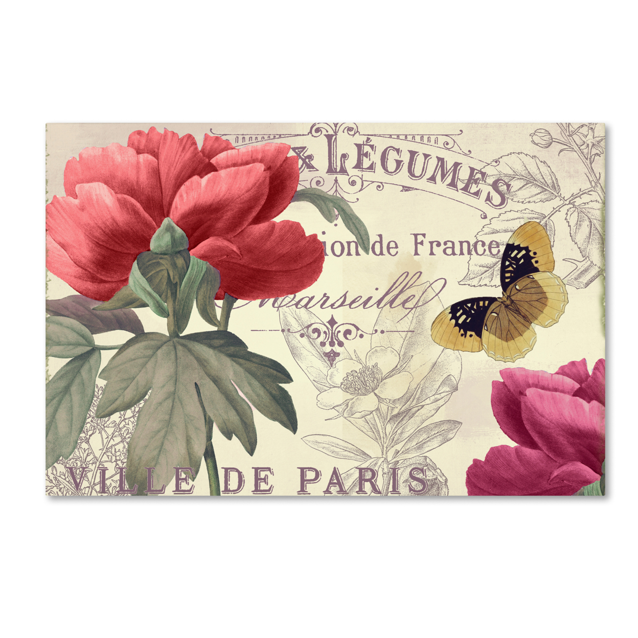 Color Bakery 'Petals Of Paris V' Canvas Art 16 X 24