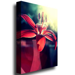 Beata Czyzowska Young 'Lady In Red' Canvas Art 16 X 24