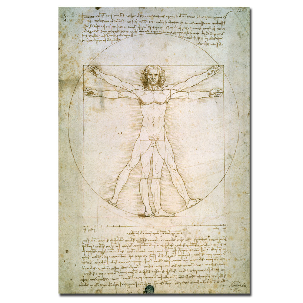 Leonardo Da Vinci 'The Proportions Of The Human Figure' Canvas Art 16 X 24