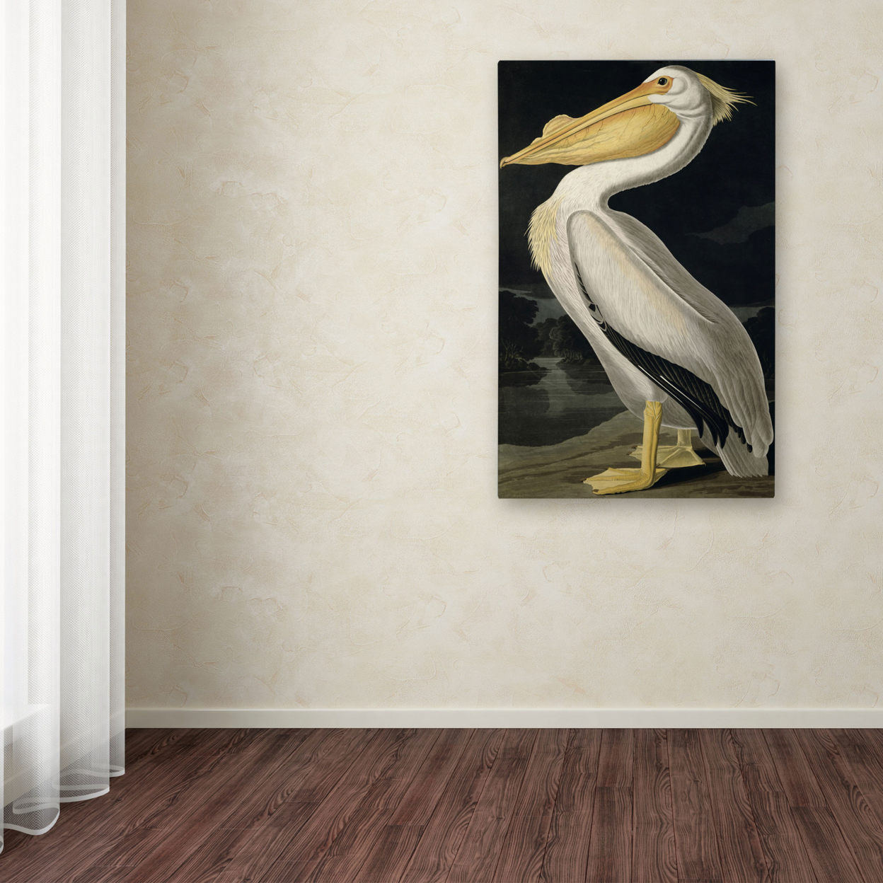 John James Audubon 'American White Pelican' Canvas Art 16 X 24