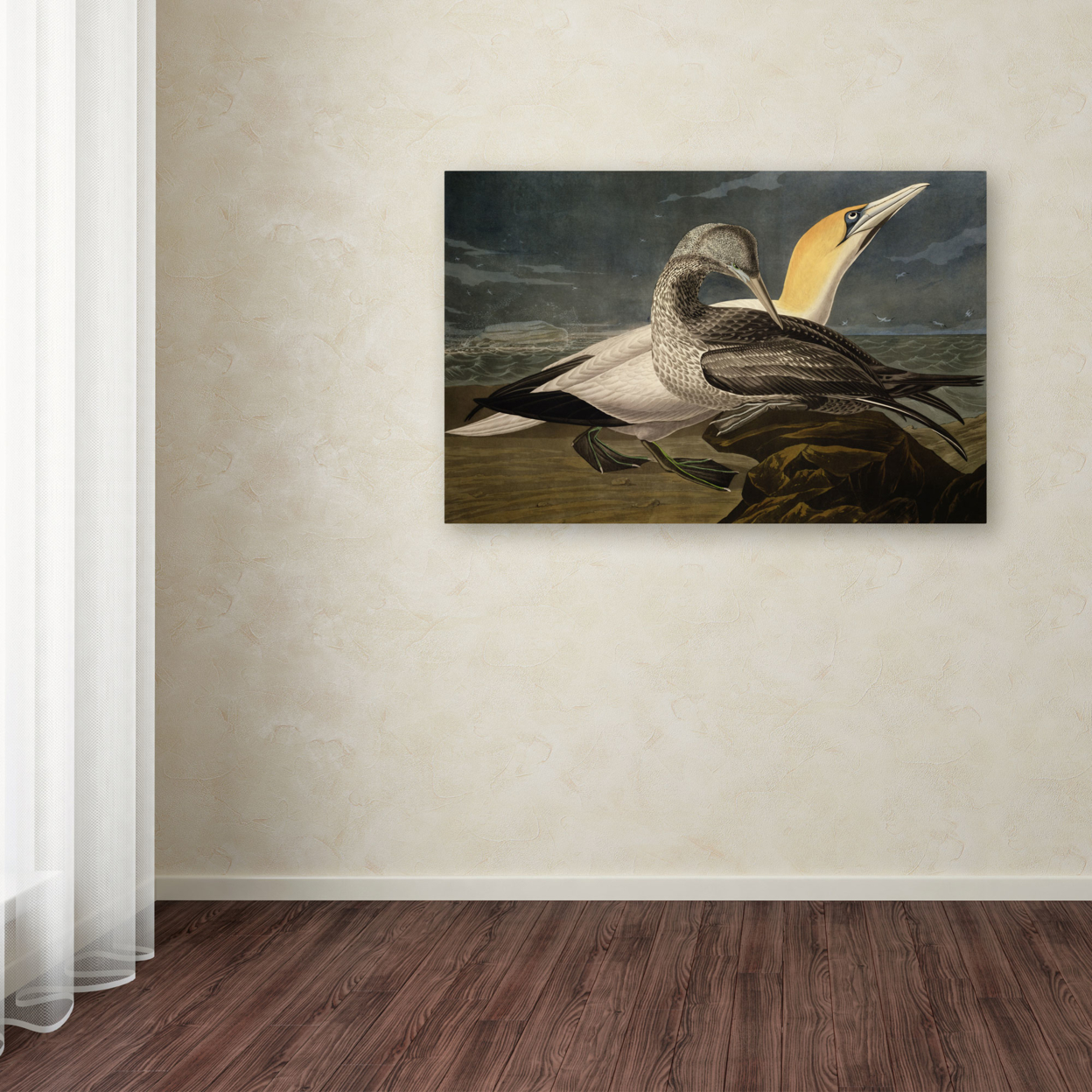 John James Audubon 'Gannets' Canvas Art 16 X 24