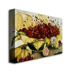 Giovanna Garzoni 'Cherries And Carnations' Canvas Art 16 X 24