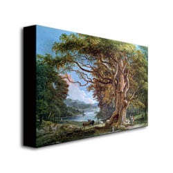 Paul Sandby 'An Ancient Beech Tree 1794' Canvas Art 16 X 24