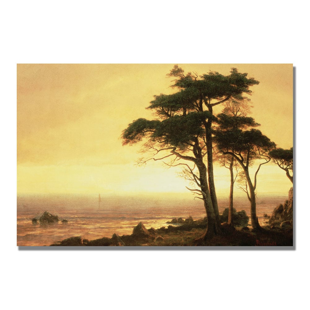 Albert Biersdant 'California Coast' Canvas Art 16 X 24