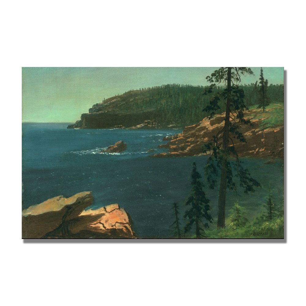 Albert Biersdant 'California Coast II' Canvas Art 16 X 24