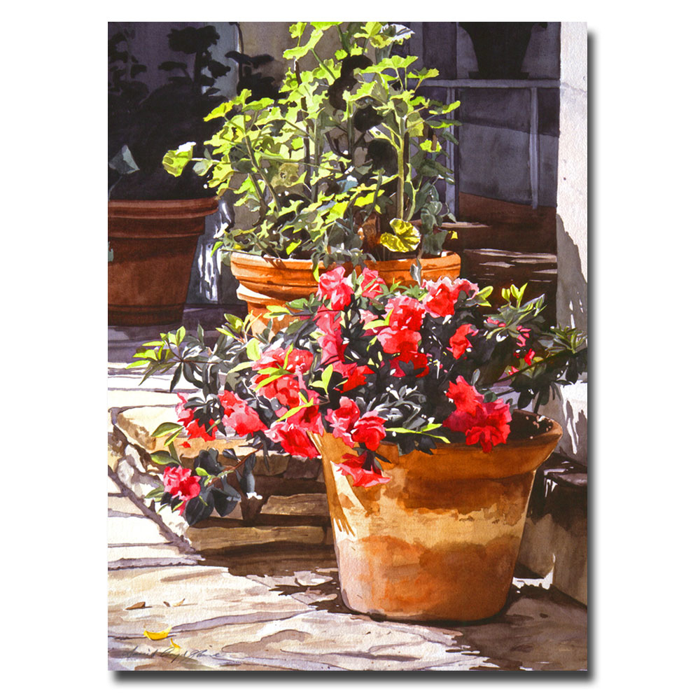 David Lloyd Glover 'Blossom Niche' Canvas Art 16 X 24