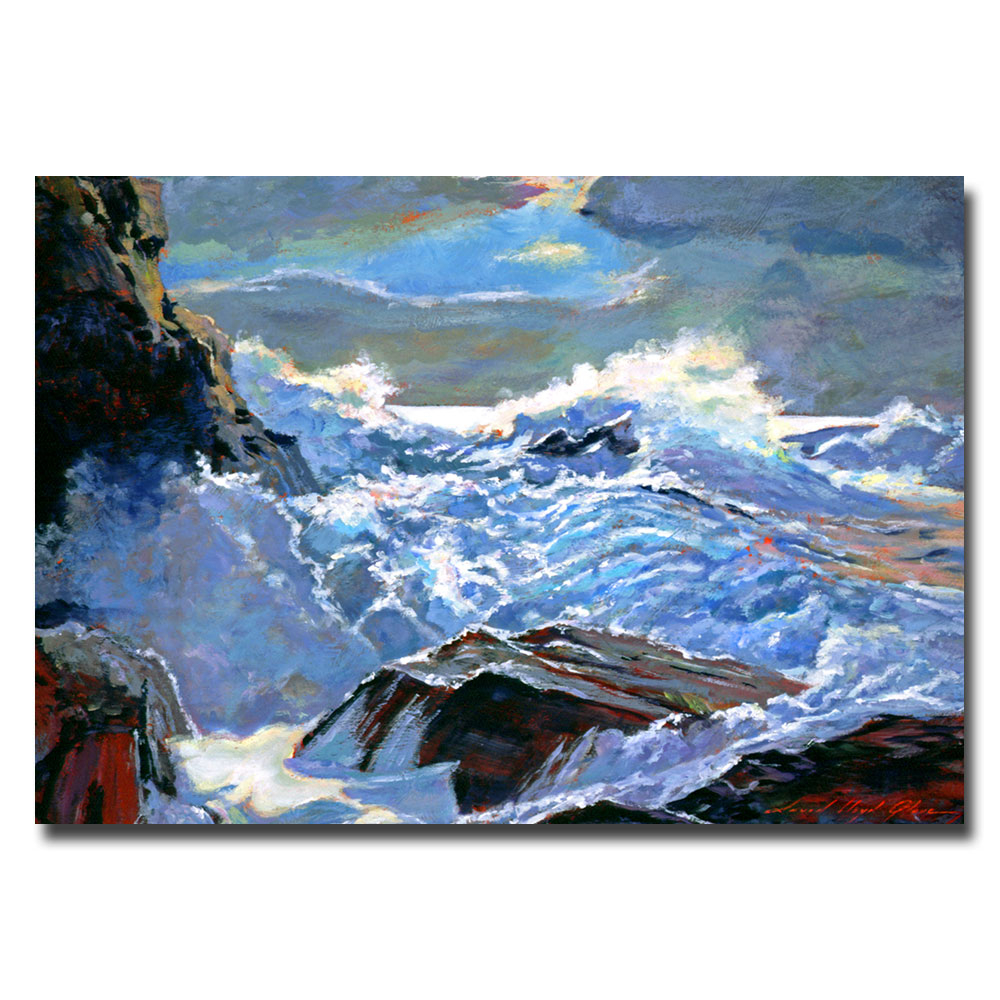 David Lloyd Glover 'Foaming Sea' Canvas Art 16 X 24