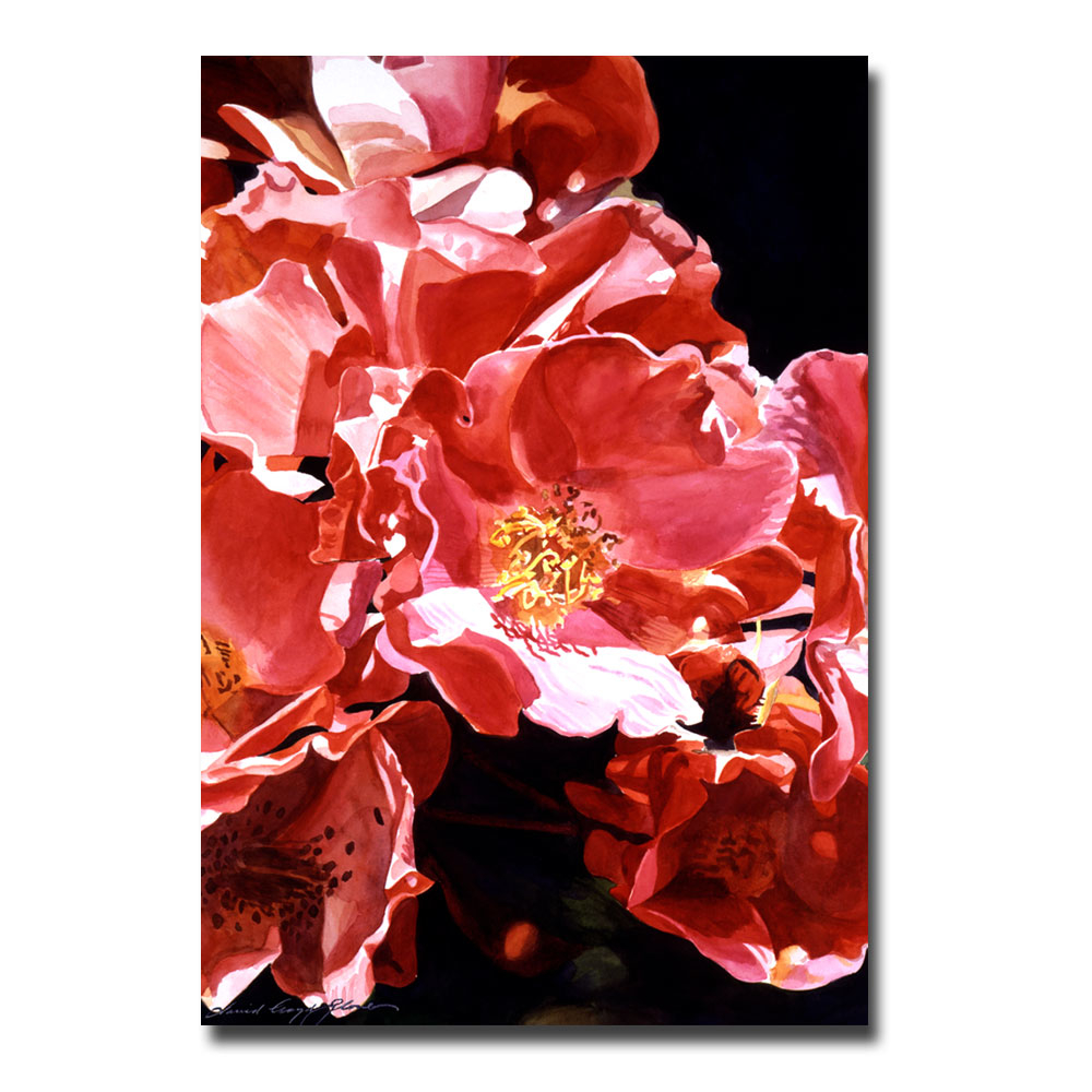 David Lloyd Glover 'Wild Roses' Canvas Art 16 X 24