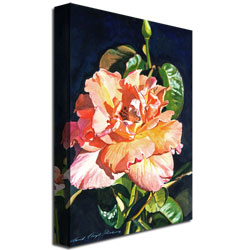 David Lloyd Glover 'Royal Rose' Canvas Art 16 X 24