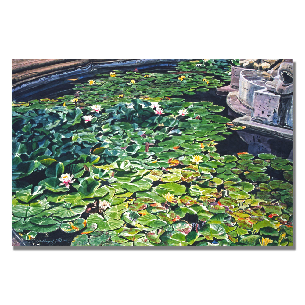 David Lloyd Glover 'Waterlillies Huntington' Canvas Art 16 X 24