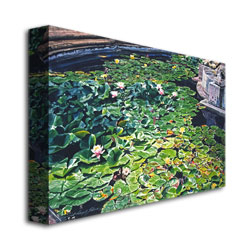 David Lloyd Glover 'Waterlillies Huntington' Canvas Art 16 X 24