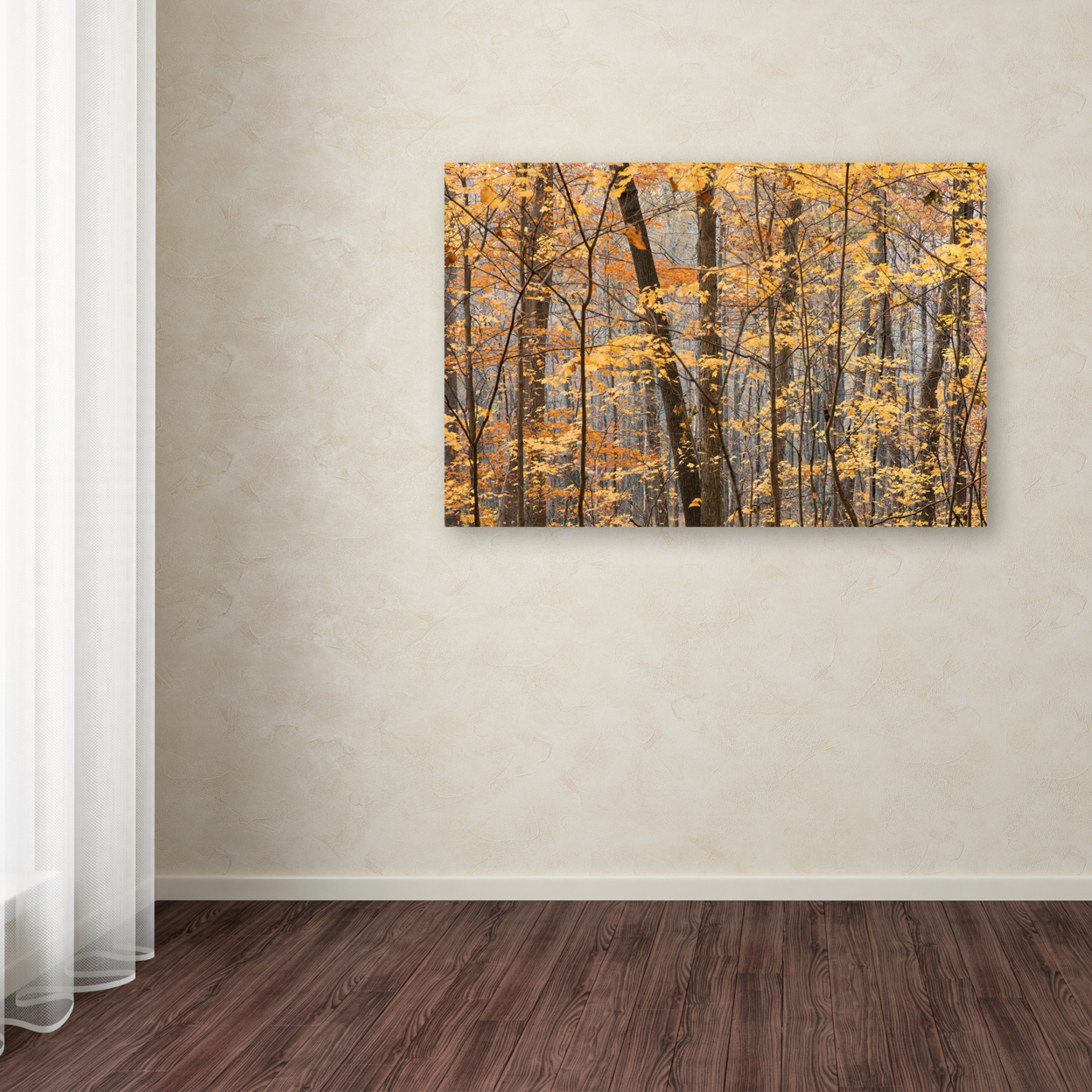 Jason Shaffer 'Autumn Treeline' Canvas Art 16 X 24