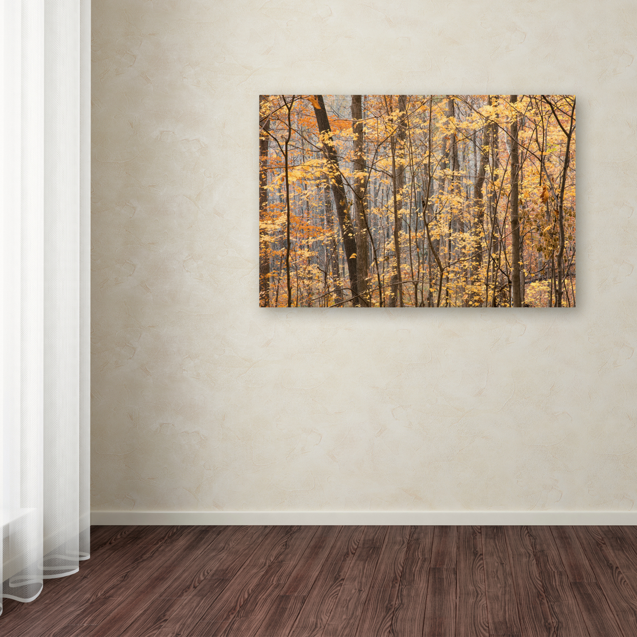 Jason Shaffer 'Autumn Treeline 2' Canvas Art 16 X 24