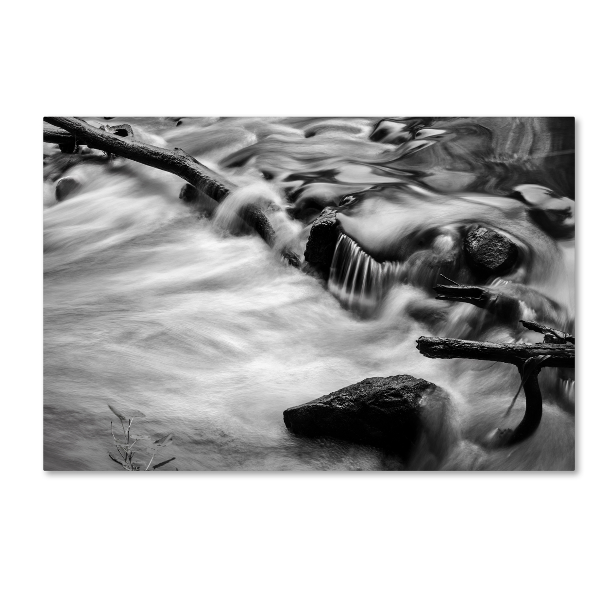 Jason Shaffer 'Black River' Canvas Art 16 X 24