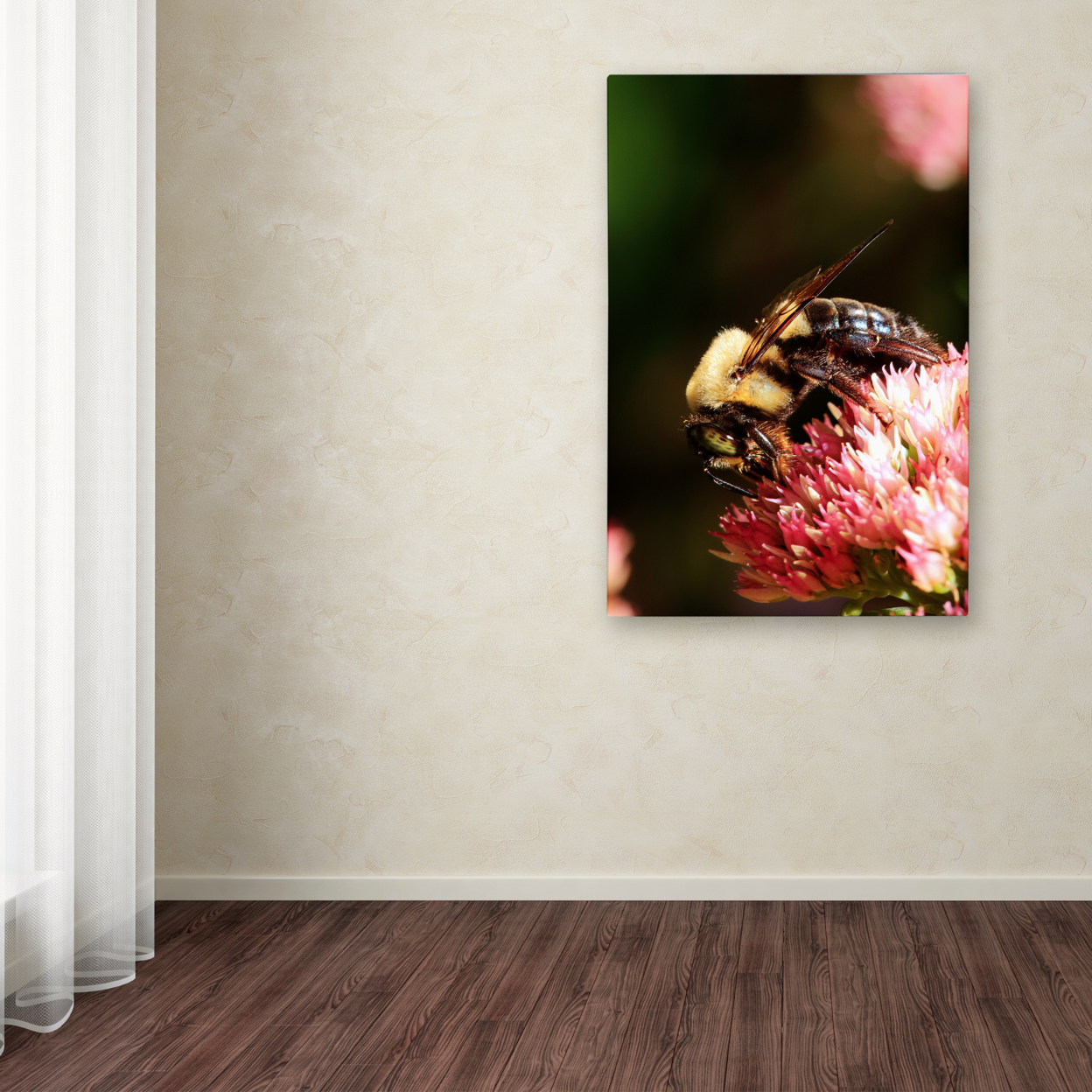 Jason Shaffer 'Bumblebee' Canvas Art 16 X 24