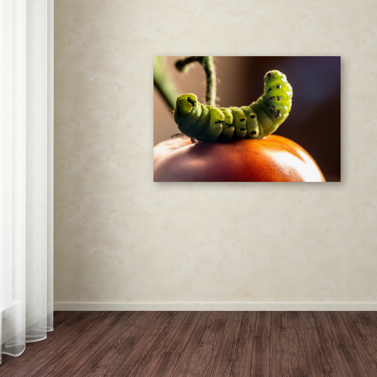 Jason Shaffer 'Caterpillar & Tomato' Canvas Art 16 X 24