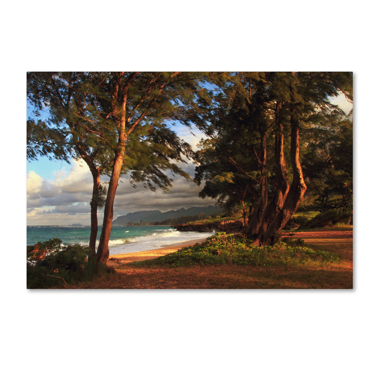 Jason Shaffer 'Hawaii 5' Canvas Art 16 X 24