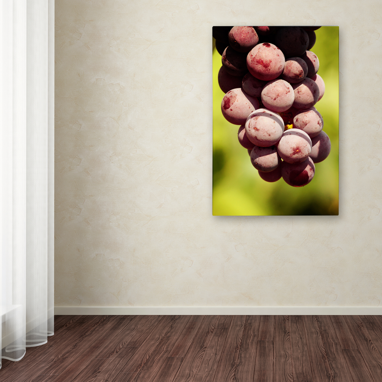 Jason Shaffer 'Homegrown Grapes' Canvas Art 16 X 24
