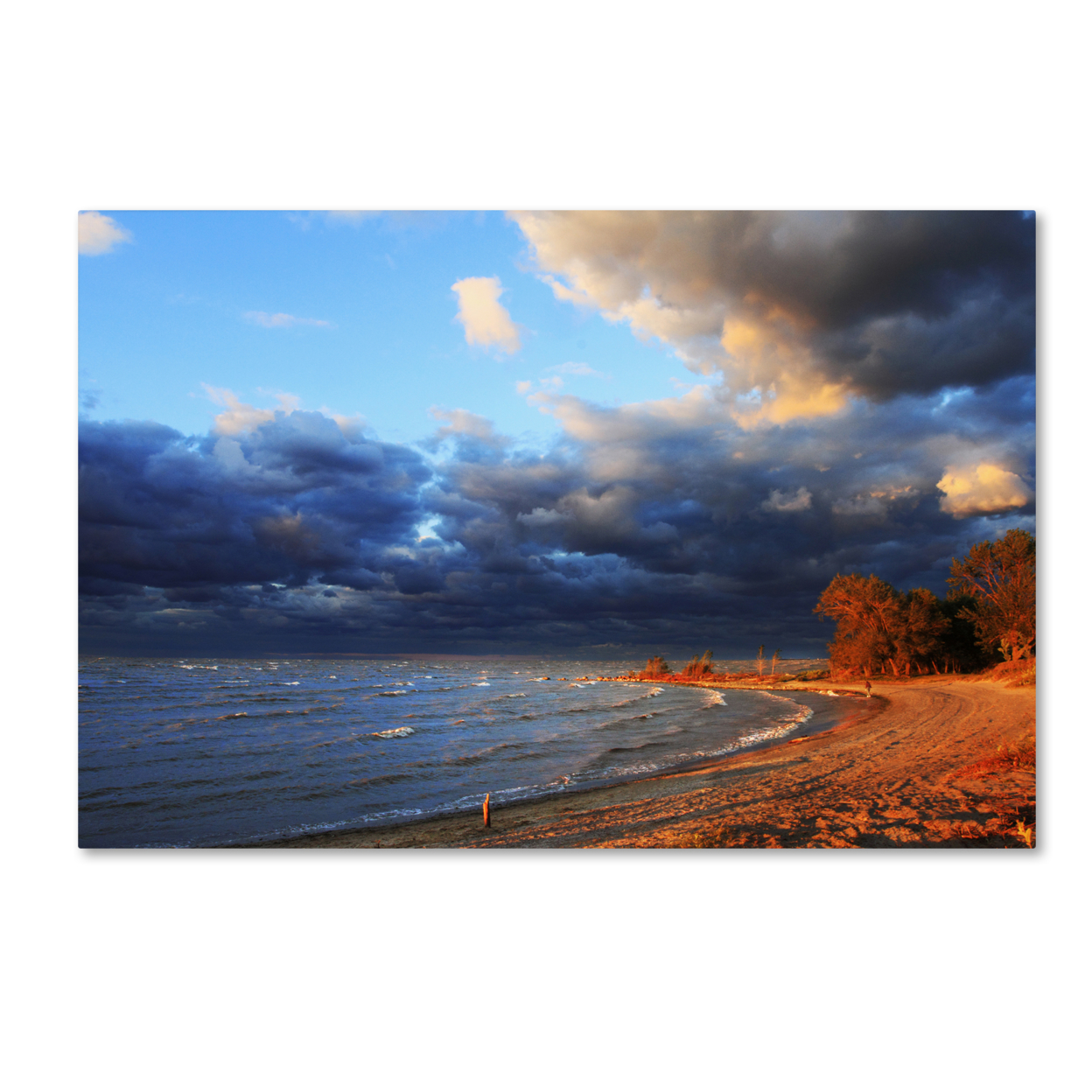 Jason Shaffer 'Lake Erie Autumn' Canvas Art 16 X 24