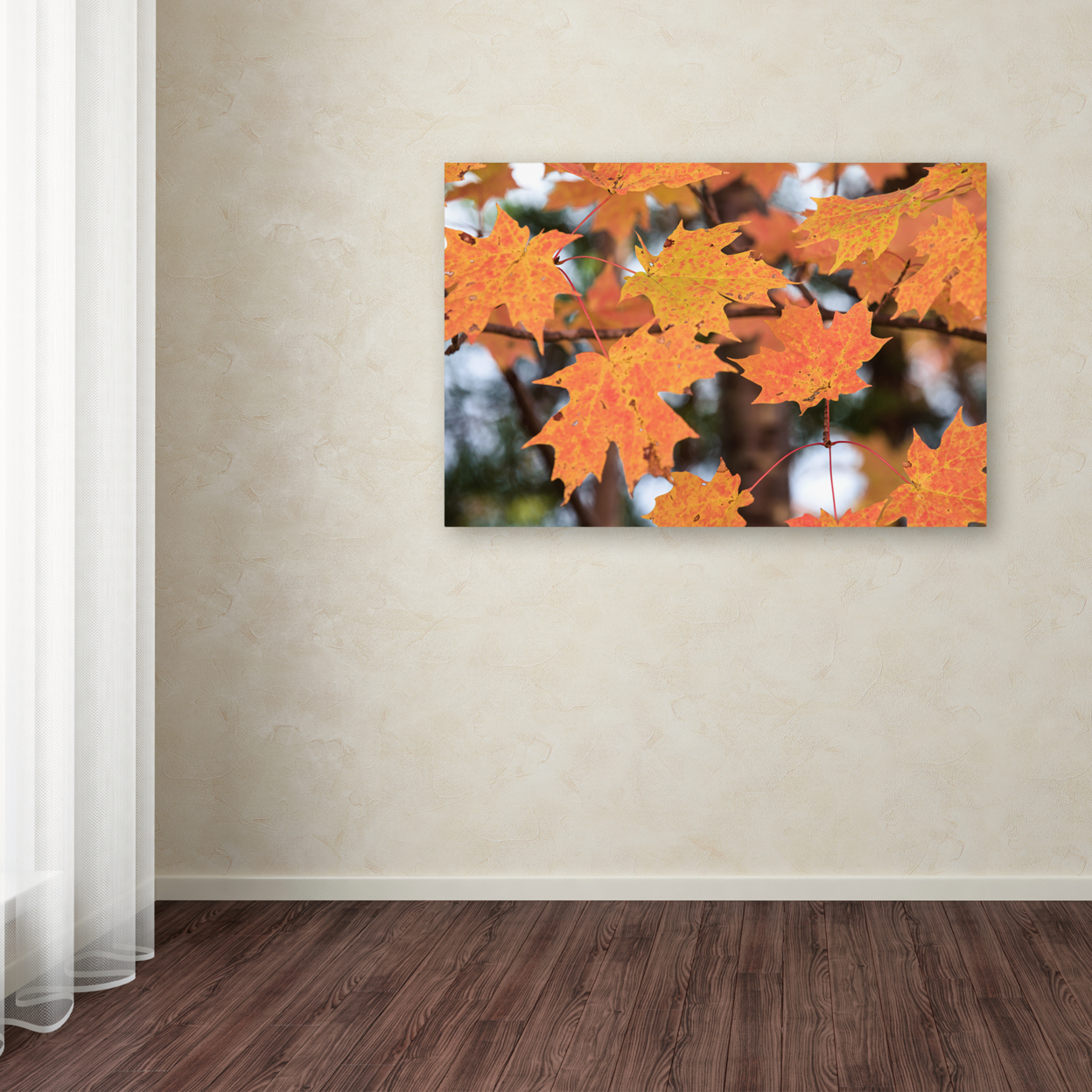 Jason Shaffer 'Orange Maple' Canvas Art 16 X 24