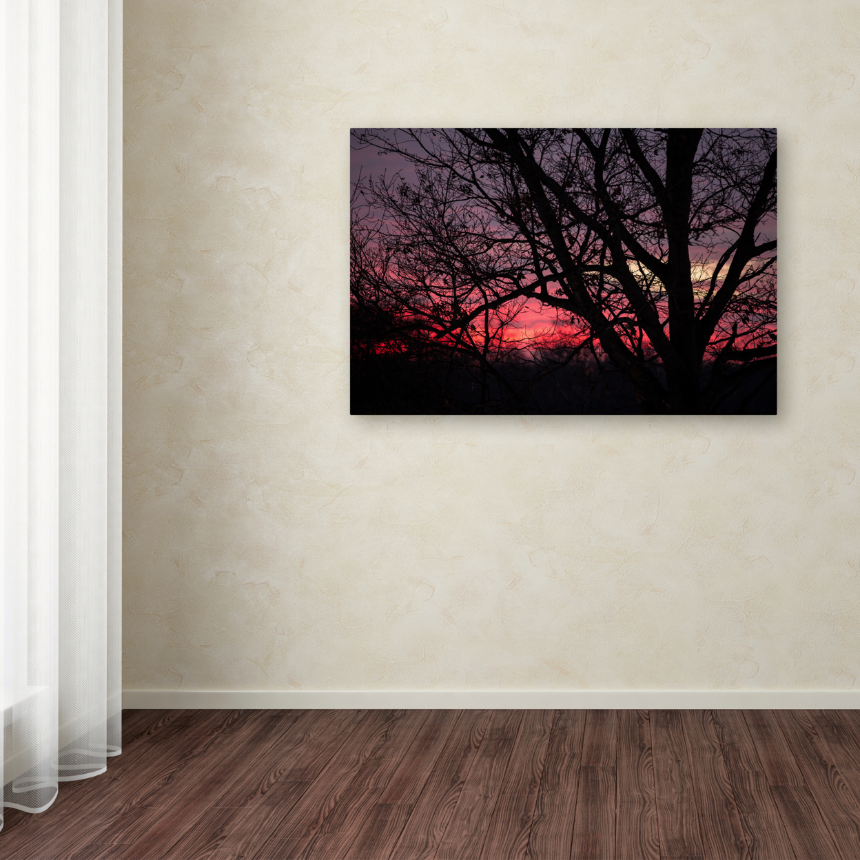 Jason Shaffer 'Pink Sunset' Canvas Art 16 X 24