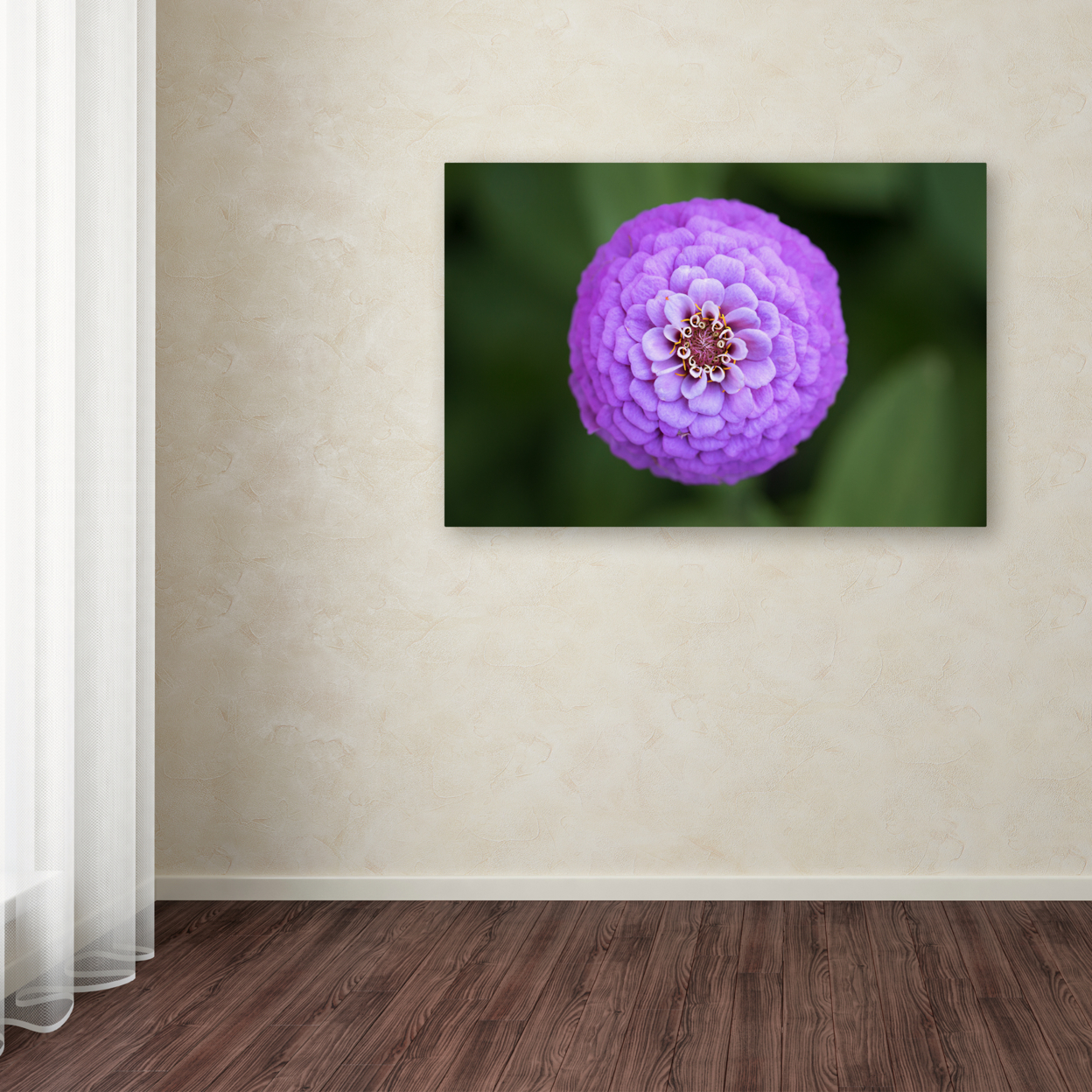 Jason Shaffer 'Purple Flower' Canvas Art 16 X 24