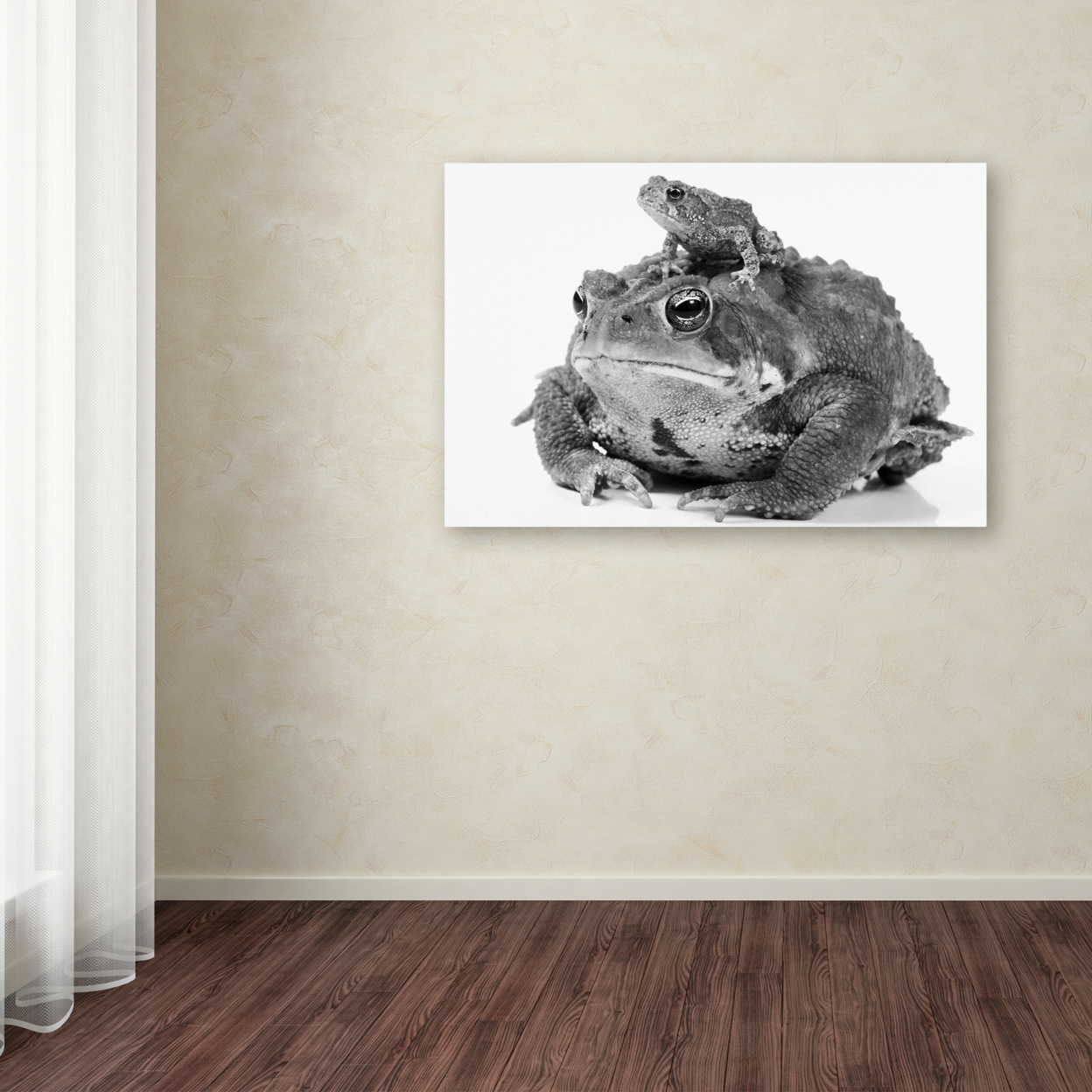 Jason Shaffer 'Two Toads' Canvas Art 16 X 24