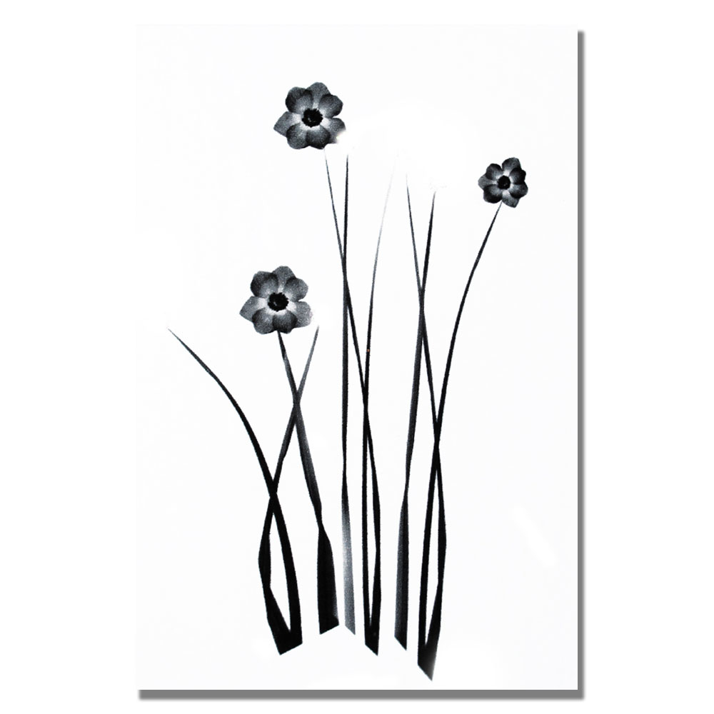 Kathie McCurdy 'White And Black Bunch' Canvas Art 16 X 24