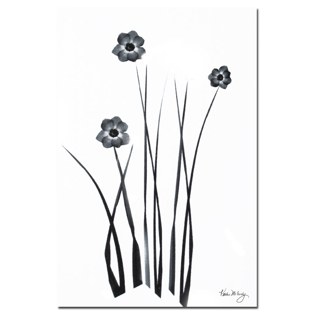 Kathie McCurdy 'Black And White Bunch' Canvas Art 16 X 24