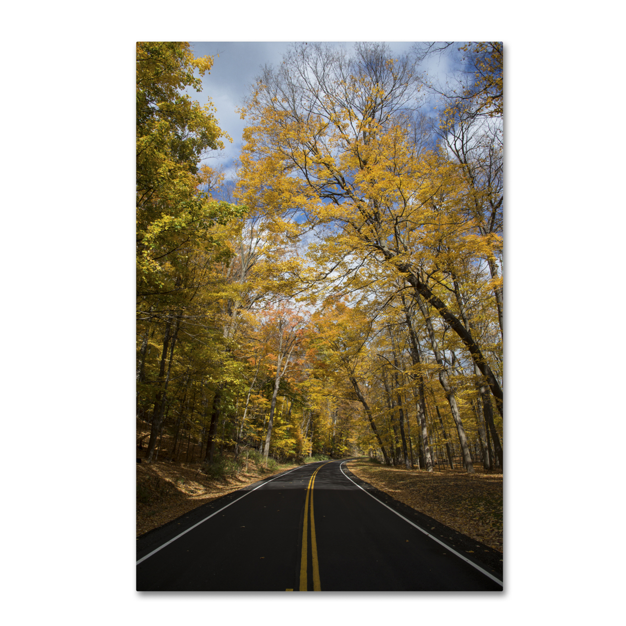 Kurt Shaffer 'Autumn Along The Valley Parkway 2' Canvas Art 16 X 24