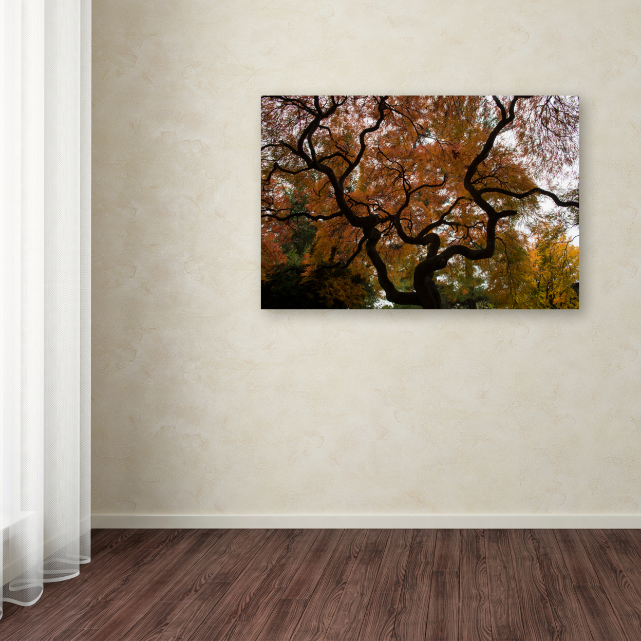 Kurt Shaffer 'Brilliant Japanese Maple Abstract' Canvas Art 16 X 24