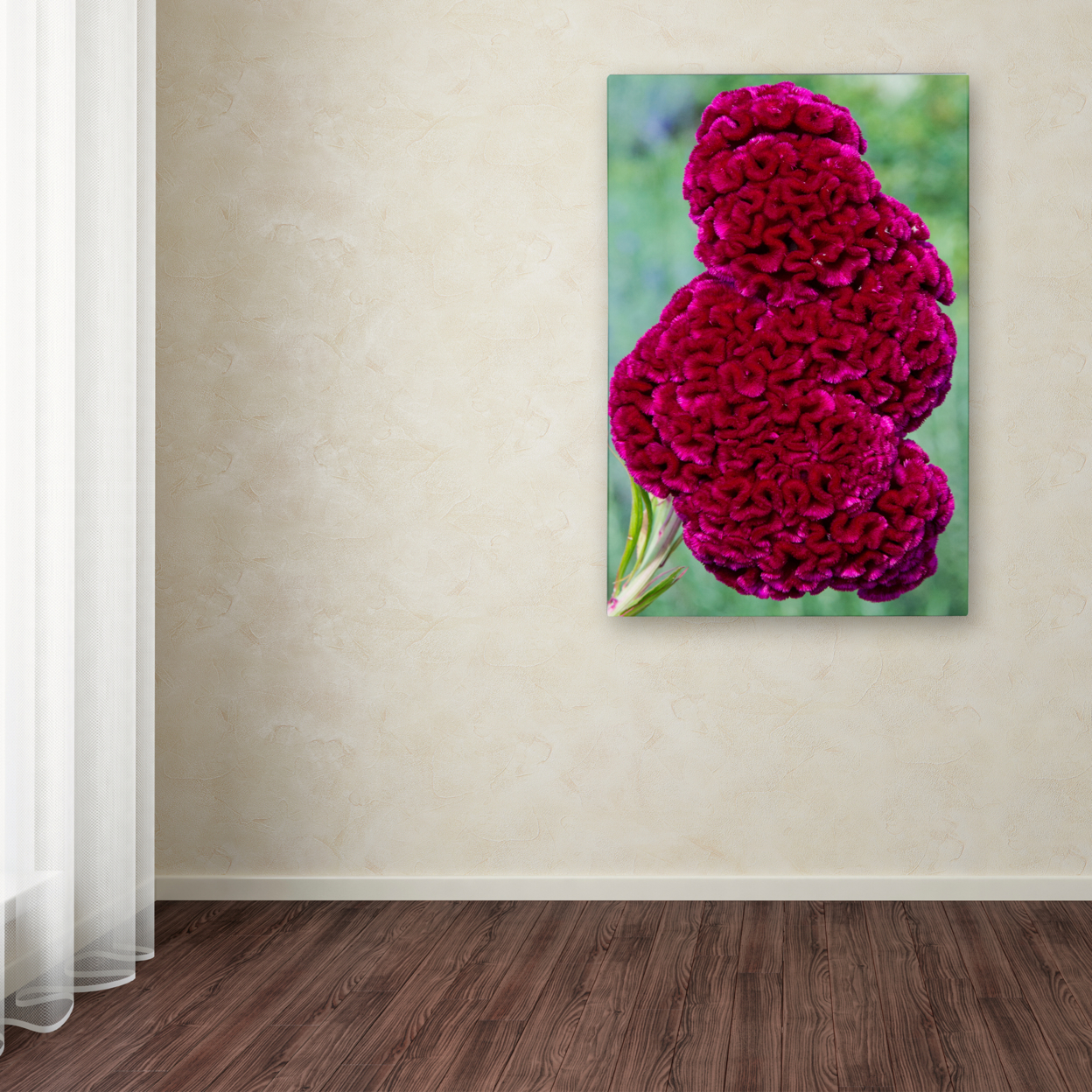 Kurt Shaffer 'Coxcomb Flower' Canvas Art 16 X 24