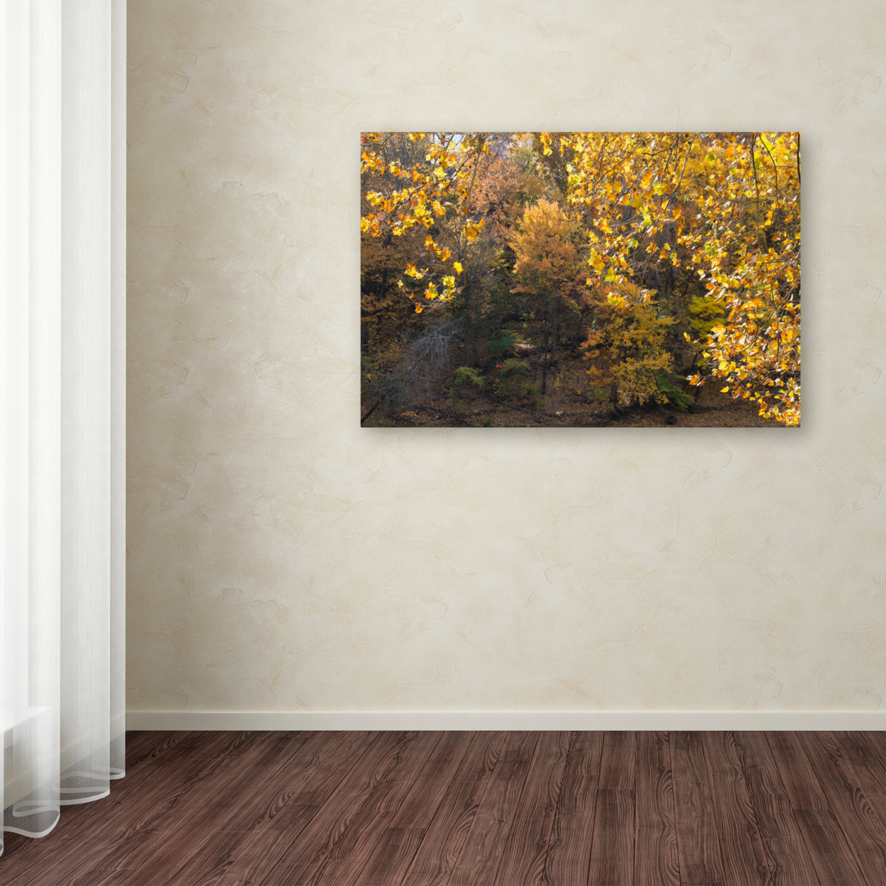 Kurt Shaffer 'Golden Autumn 2' Canvas Art 16 X 24