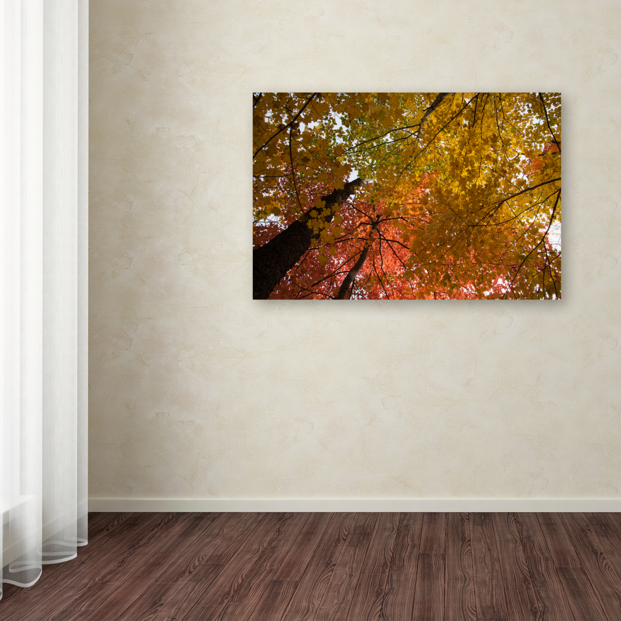 Kurt Shaffer 'Spectacular Brilliant Autumn Trees' Canvas Art 16 X 24