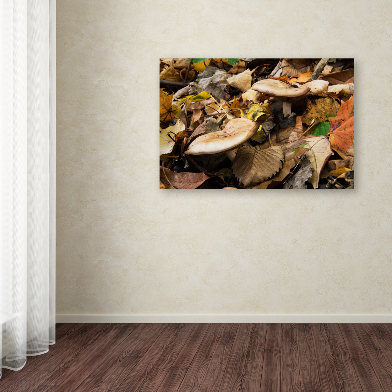 Kurt Shaffer 'Mushrooms In The Leaves' Canvas Art 16 X 24