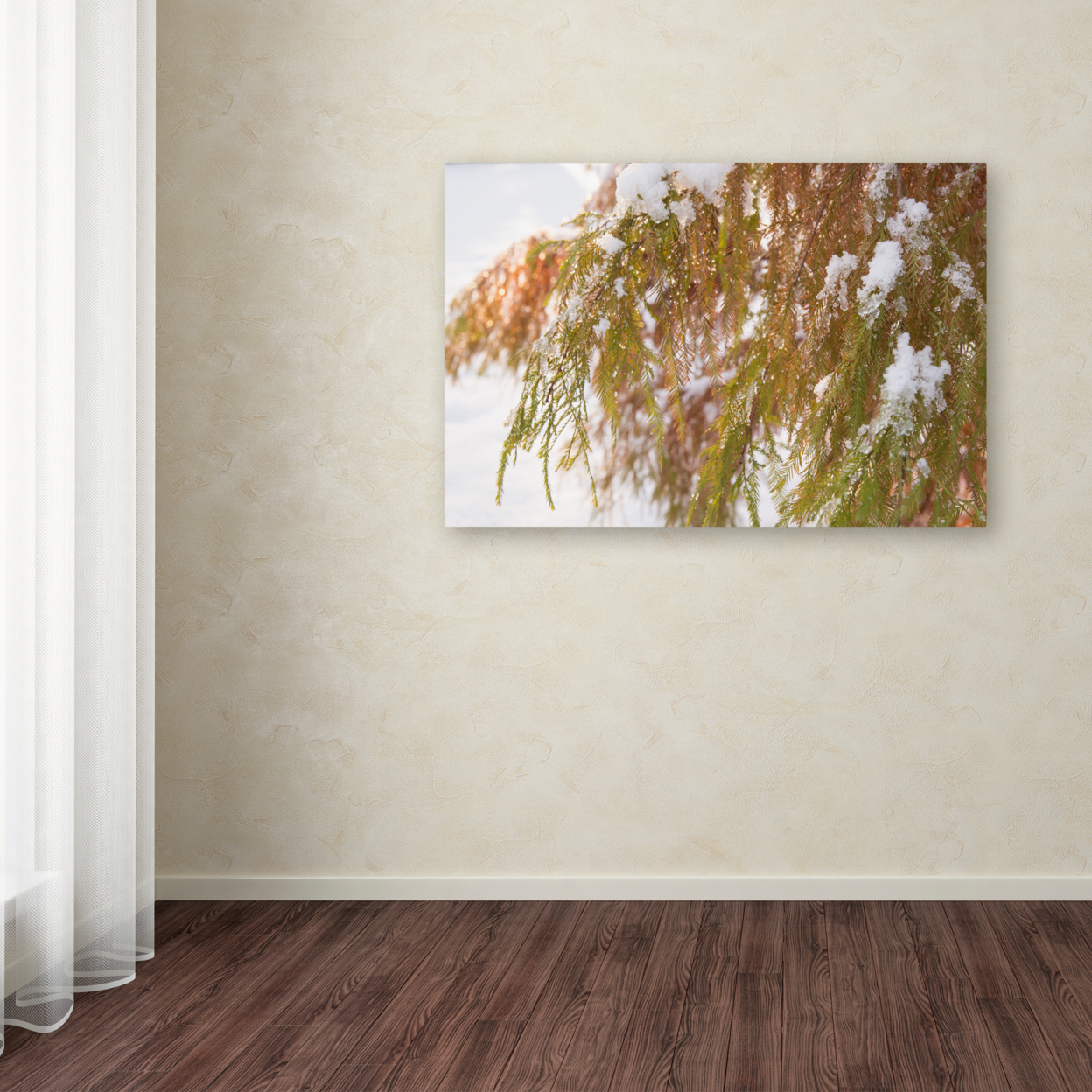 Kurt Shaffer 'Winter On Redwood' Canvas Art 16 X 24